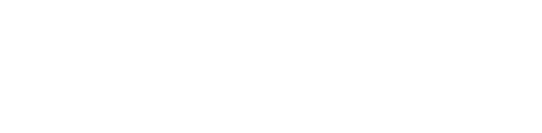 PHOENIX CONTACT